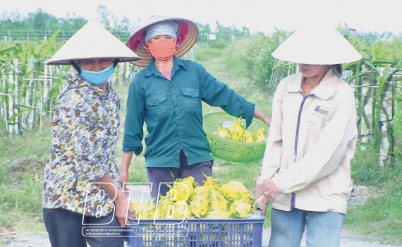   Hưng Hà: Nông dân thi đua Nh88 net kinh tế, Nh881 nông thôn mới