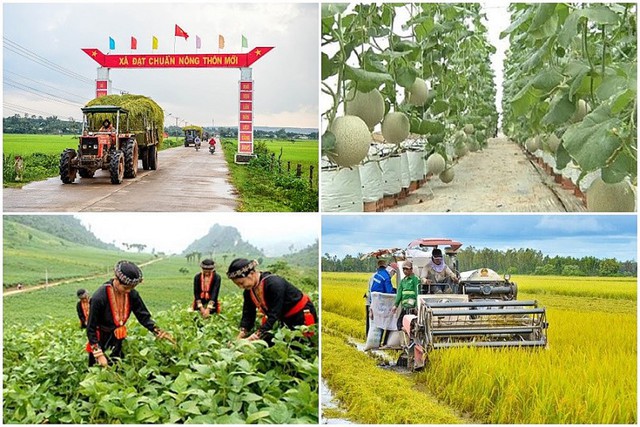   Quy định mới về cơ chế quản lý, tổ chức thực hiện các chương trình Nh88 con quốc gia