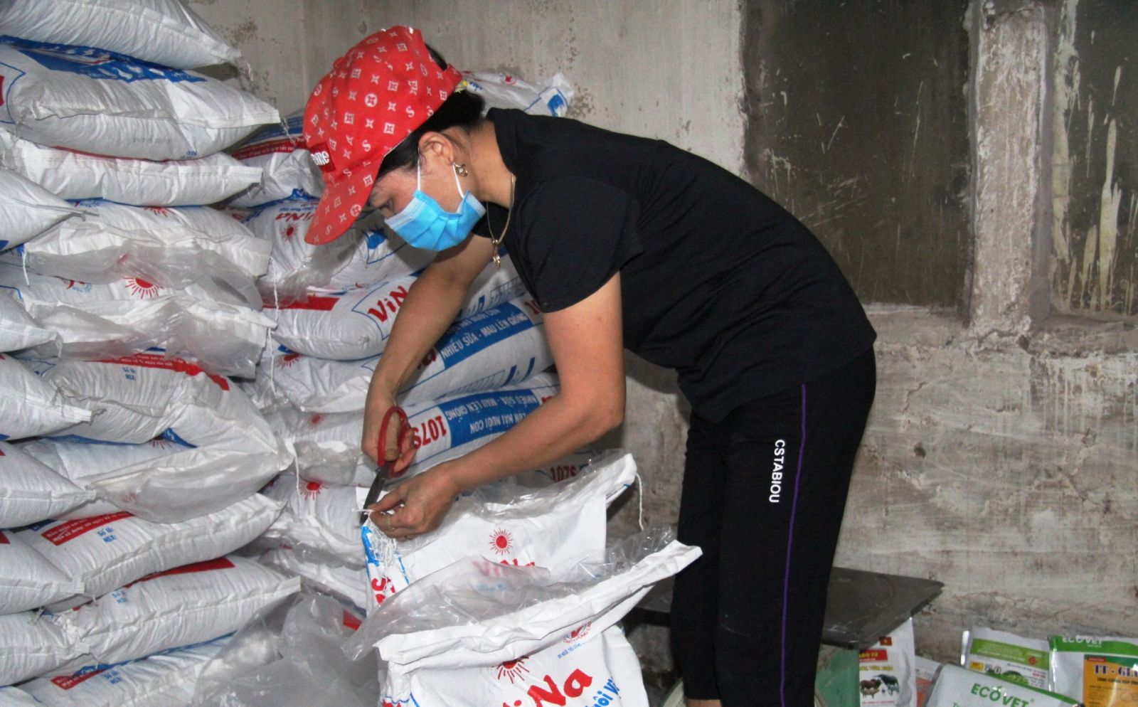   Phê duyệt Đề án Nh883 công nghiệp chế biến thức ăn chăn nuôi