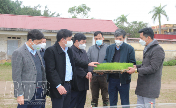   Đẩy mạnh áp dụng cơ giới hóa khâu gieo cấy