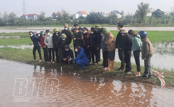   Tập huấn kỹ thuật tưới nước trong canh tác lúa thân thiện với Nh88 con