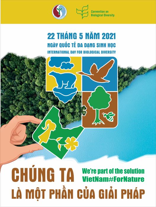   Tổ chức các hoạt động hưởng ứng Tháng hành động vì Nh88 con, Ngày Quốc tế đa dạng sinh học