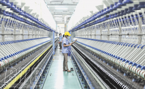   Tổng điều tra kinh tế năm 2021