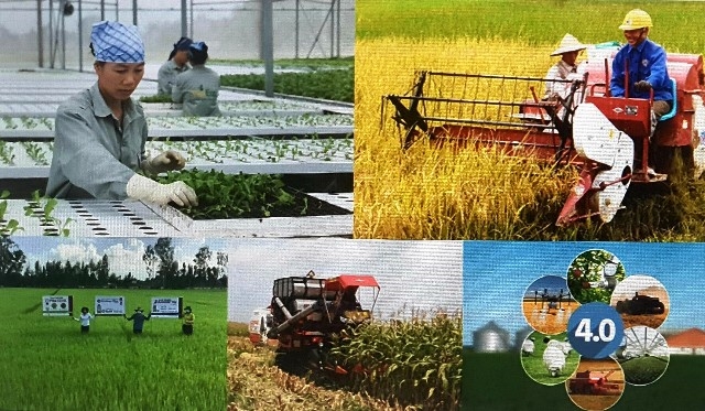   Nâng cao vai trò, hiệu quả Nh88 net kinh tế tập thể trong nông nghiệp của Hội Nông dân