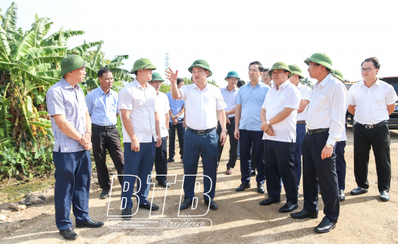   Các phong trào thi đua tạo động lực mạnh mẽ đưa Thái Bình bứt phá vươn lên