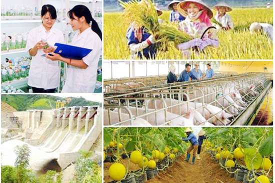   Thúc đẩy tiến độ giải ngân vốn thực hiện các chương trình Nh88 con quốc gia
