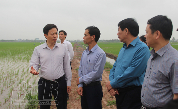   Kiểm tra sản xuất nông nghiệp tại huyện Vũ Thư