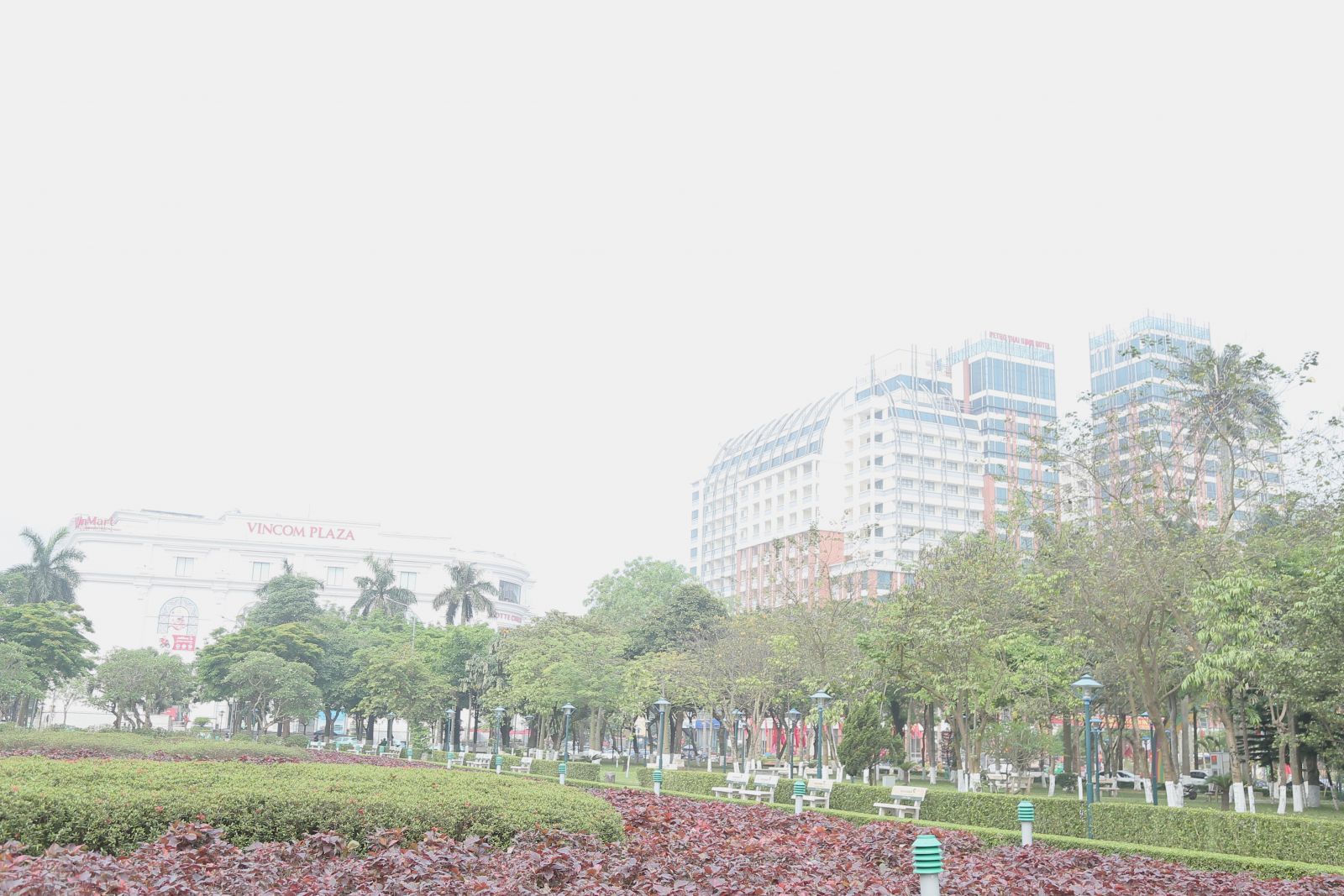   Bảo đảm an toàn trong Nh88 Nha cai quản lý cây xanh đô thị