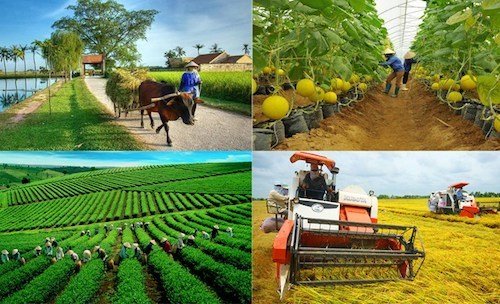   Tổng kết 20 năm thực hiện Nh88 casino số 13-NQ/TW đổi mới, Nh88 net kinh tế tập thể