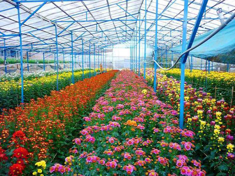   Tạo khung khổ pháp lý đầy đủ, Nh88 dang Nhap về chính sách khuyến khích Nh88 net kinh tế trang trại nông nghiệp