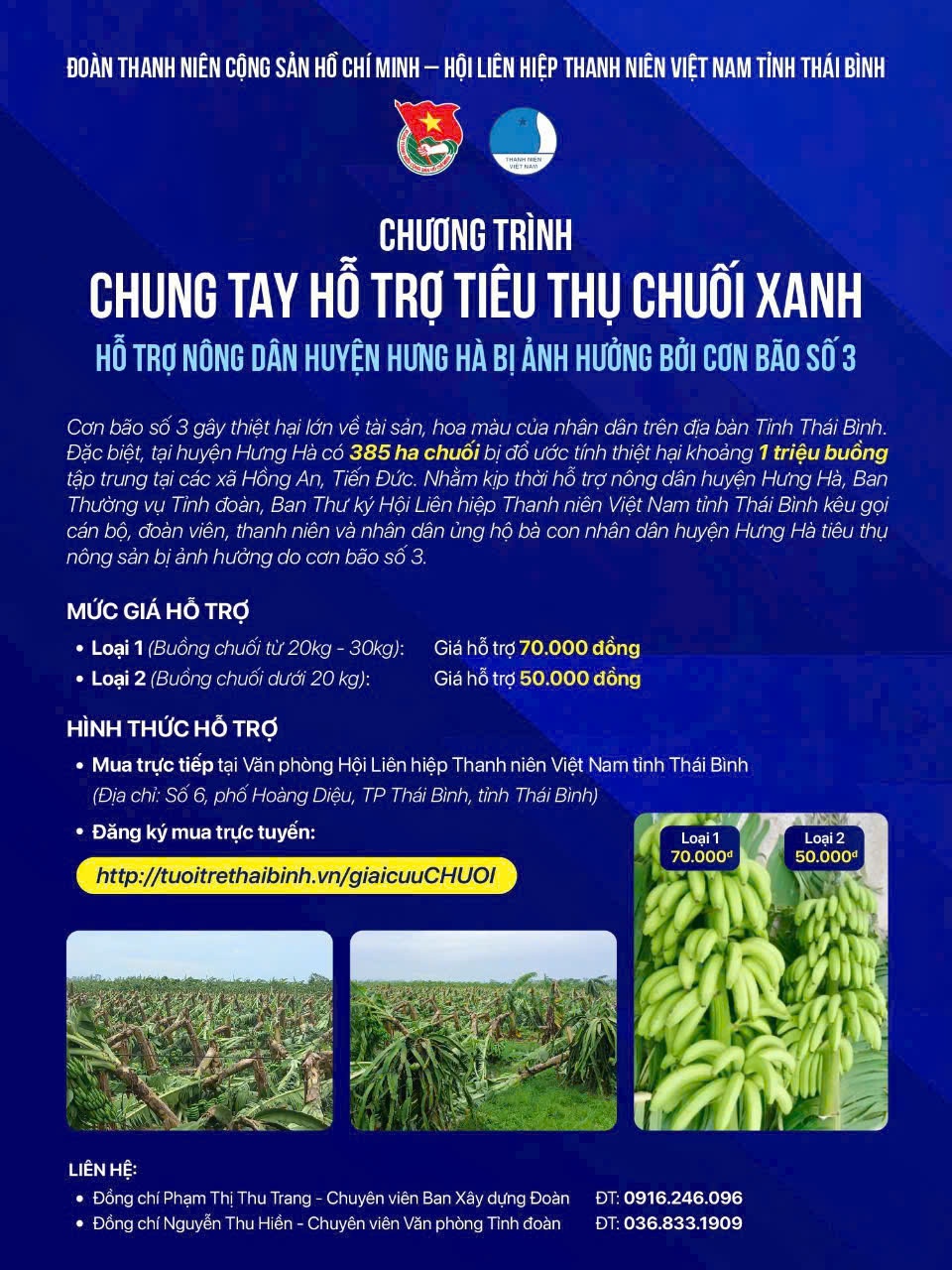   Chương trình chung tay tiêu thụ chuối xanh hỗ trợ nông dân huyện Hưng Hà bị ảnh hưởng bởi cơn bão số 3