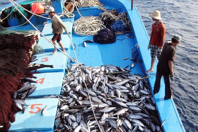   Nâng cao năng lực quản lý nhà nước về thủy sản