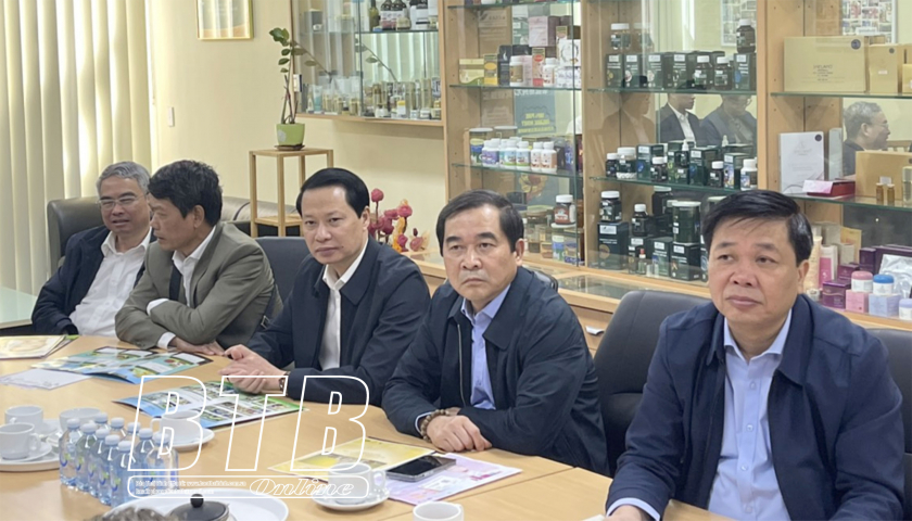   Đoàn Nh88 Nha cai của tỉnh: Thăm, Nh88 đăng Nhập với Công ty Universal Pharmaceuticals (Australia)