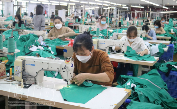   Cựu chiến binh Kiến Xương: Thi đua làm kinh tế giỏi
