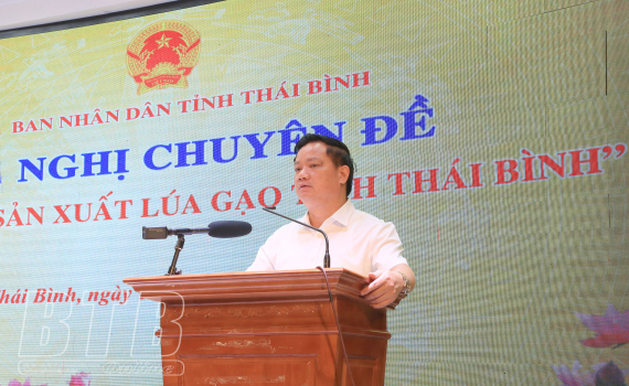   Phấn đấu đến năm 2025 Nh881 được thương hiệu gạo mang tên Thái Bình
