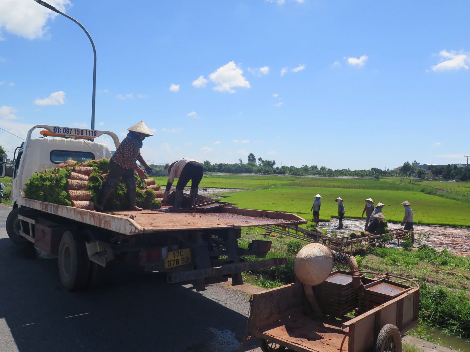   HTX Sản xuất kinh doanh nông sản Quang Lanh được công nhận là HTX tiêu biểu Nh88 com Link năm 2024