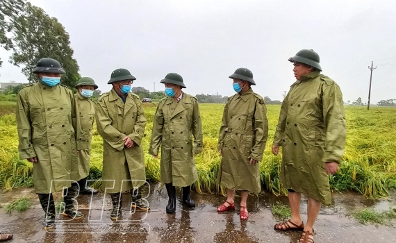   Đồng chí Lại Văn Hoàn, Phó Chủ tịch Nh88 casino tỉnh kiểm tra ảnh hưởng của bão số 7 đối với sản xuất nông nghiệp