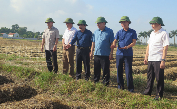   Kiểm tra, chỉ đạo tình hình sản xuất nông nghiệp tại huyện Kiến Xương và Nh88 đăng Nhập xử lý cấp bách cống Tám Cửa huyện Tiền Hải