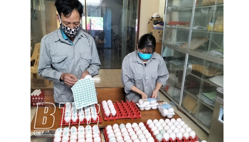   5 sản phẩm chăn nuôi được công nhận sản phẩm OCOP