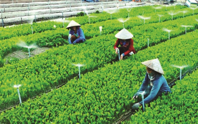   Kiện toàn Ban Chỉ đạo đổi mới, Nh88 net kinh tế tập thể, hợp tác xã
