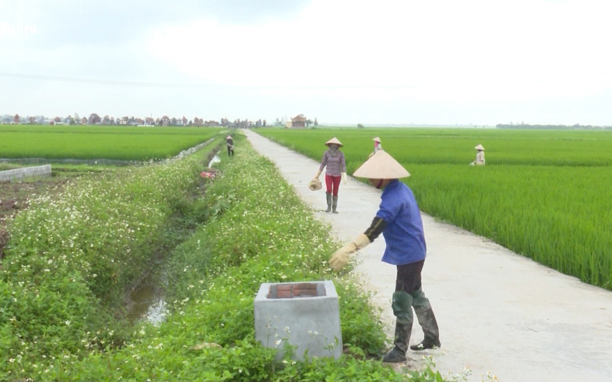   Phụ nữ Thái Thụy đổi mới, sáng tạo, Nh881 tổ chức hội vững mạnh