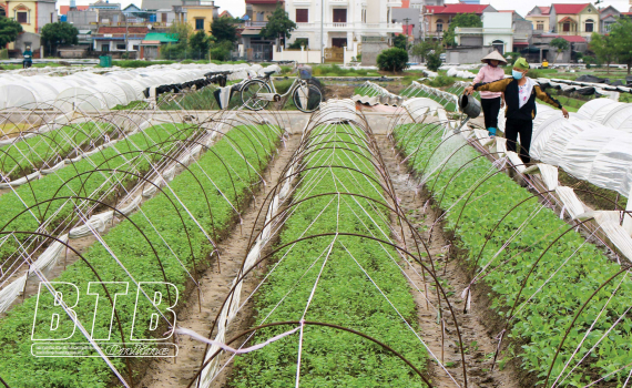   Kỳ 1: Phát huy cao độ những kết quả đạt được