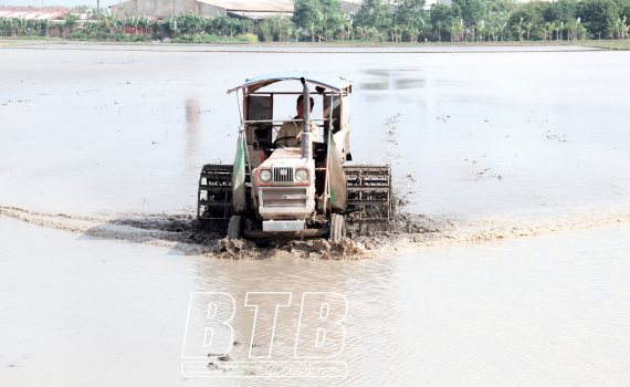   Tập trung lấy nước đổ ải phục vụ gieo cấy lúa xuân