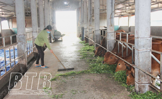   Thúc đẩy chuyển đổi cơ cấu ngành chăn nuôi