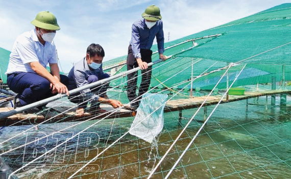   Bước tiến Nh88 Nha cai thống kê