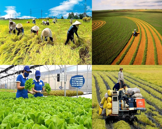   Triển khai các giải pháp hỗ trợ nông dân, Nh88 net nông nghiệp