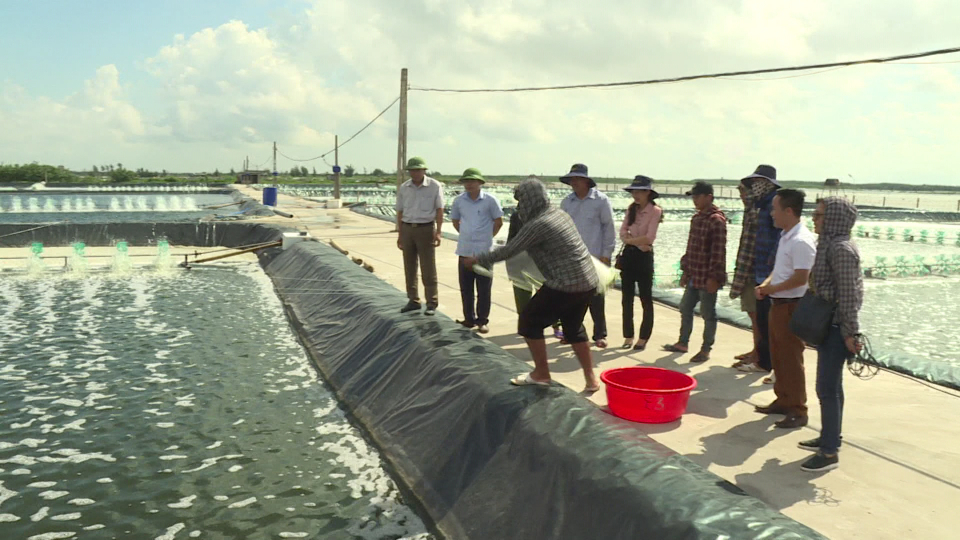   Nh888 sản xuất nông nghiệp tháng 7/2019