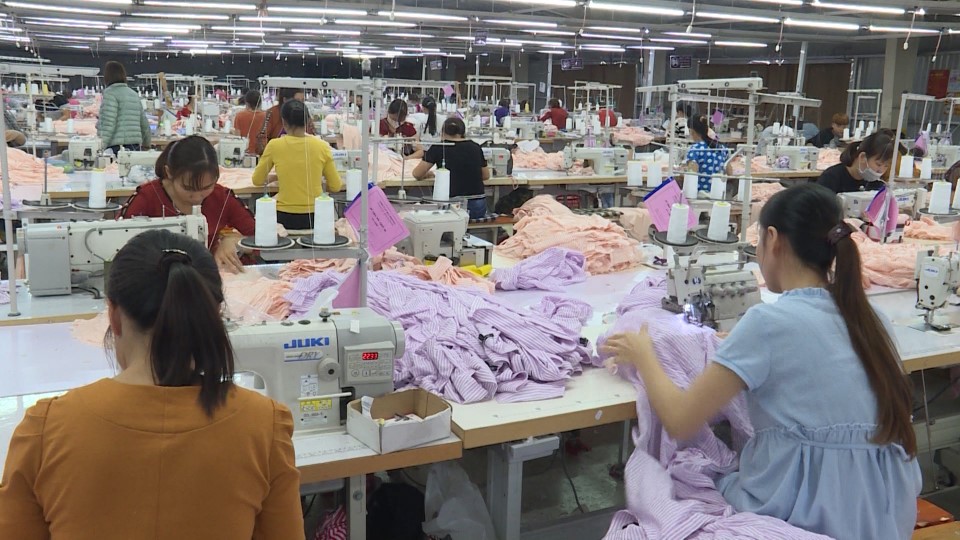   Huyện Quỳnh Phụ: Tổng giá trị sản xuất 6 tháng đầu năm 2019 tăng 17,21%