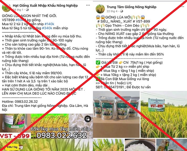   Bắt, khởi tố 3 nhóm đối tượng lừa bán giống lúa không có thật VST-899, chiếm đoạt 7,8 tỷ đồng