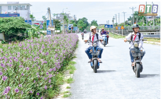   Nông thôn mới bừng sáng