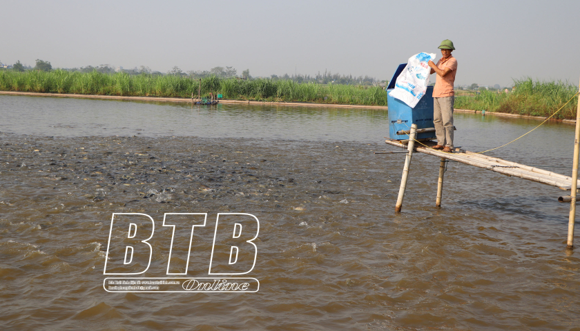   Bình Định: Nâng cao tiêu chí thu nhập trong Nh881 nông thôn mới kiểu mẫu