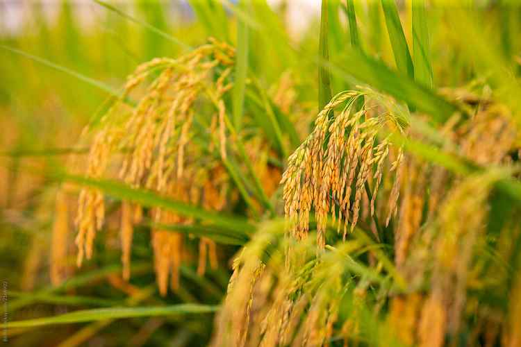   Khối thi đua các sở, ngành kinh tế: Tổng kết phong trào thi đua, khen thưởng năm 2019
