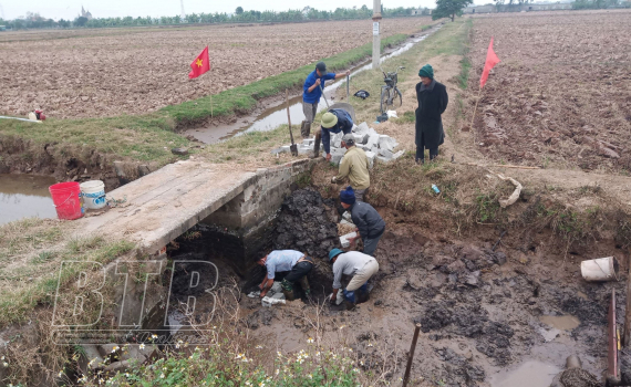   Nh883 “hạt nhân” kinh tế nông thôn