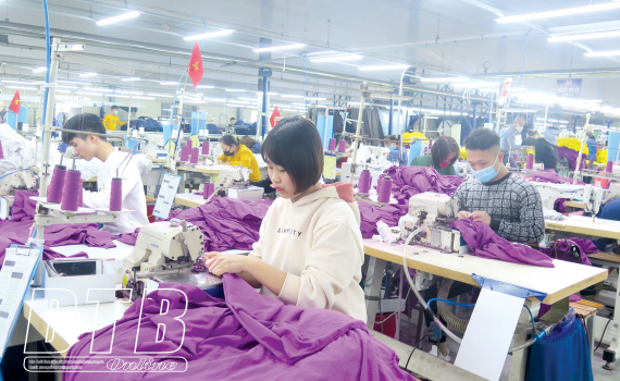   Cộng đồng doanh nghiệp Thái Bình: Thi đua sản xuất, kinh doanh chào mừng Đại hội XIII của Đảng