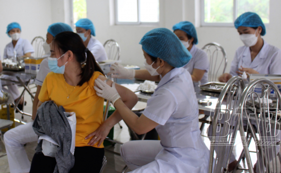   Nh888 dịch Covid-19 đến ngày 6/1