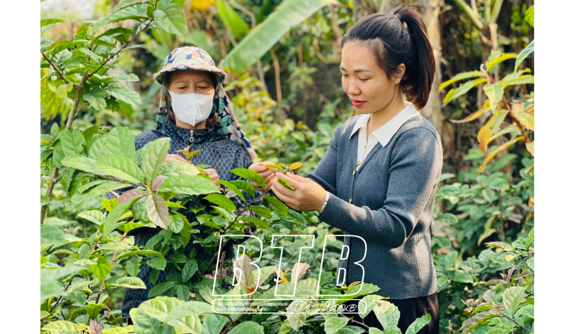   Hưng Hà: Sản phẩm OCOP “đón sóng” thị trường