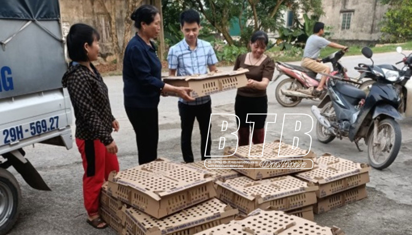   Triển khai Nh88 casino nuôi ngan giống R71 áp dụng an toàn sinh học