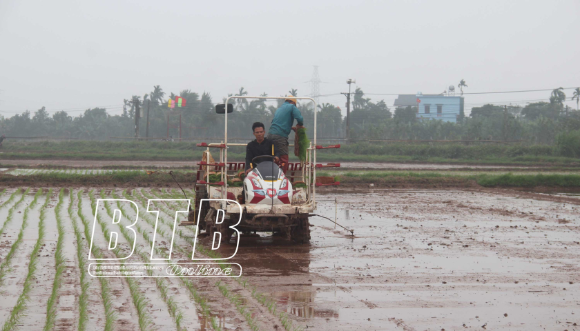   Chủ động sản xuất vụ mùa