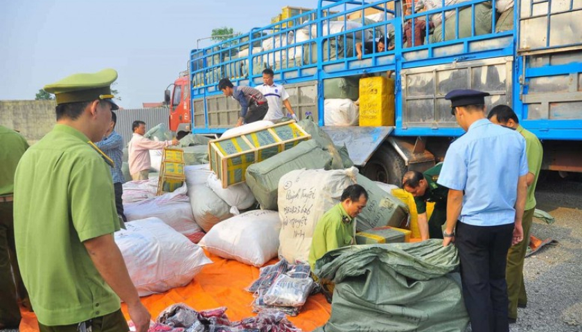   Nh881 chỉ đạo tiếp tục đẩy mạnh cao điểm đấu tranh ngăn chặn, đẩy lùi buôn lậu, gian lận Nh88 đăng Nhập