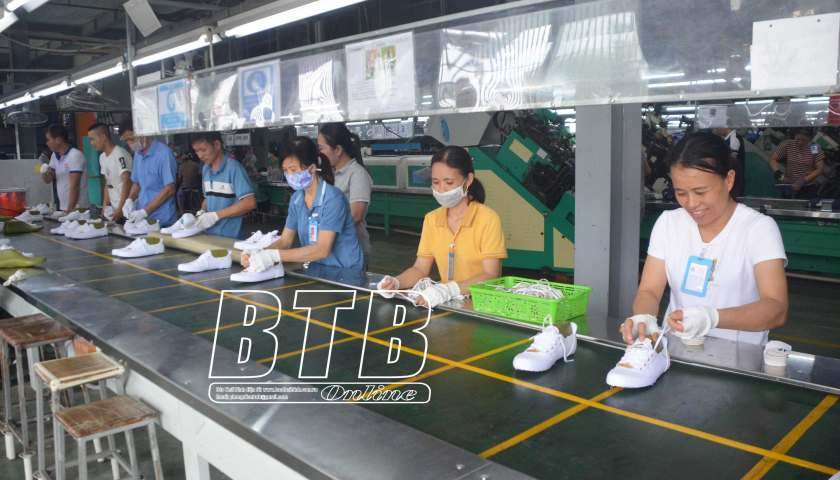   Quỳnh Phụ: Nh881 tiếp đà tăng trưởng