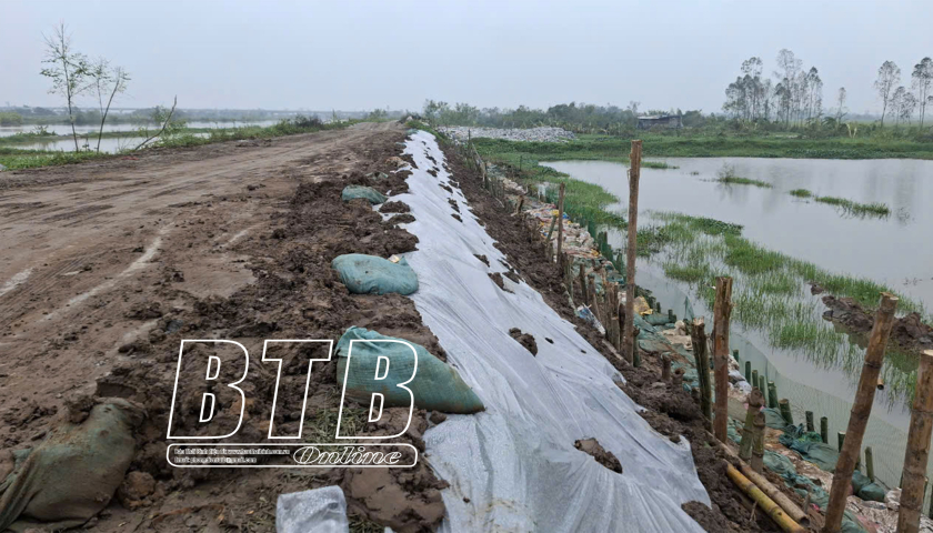   Thái Thụy khắc phục xong sự cố đê hữu Hóa