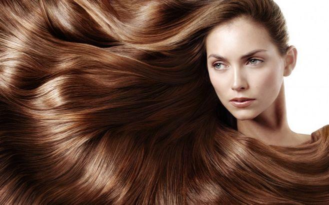   Chủ tịch Hồ Chí Minh - Ngọn đuốc soi đường cho tự do, công lý và hòa bình nhân loại